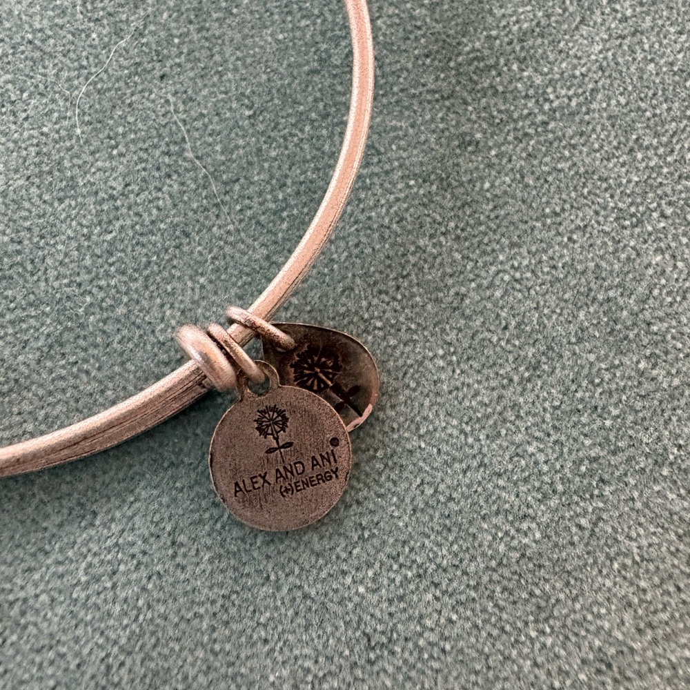 Alex and Ani Path of Life Bracelet - Picture 6 of 6